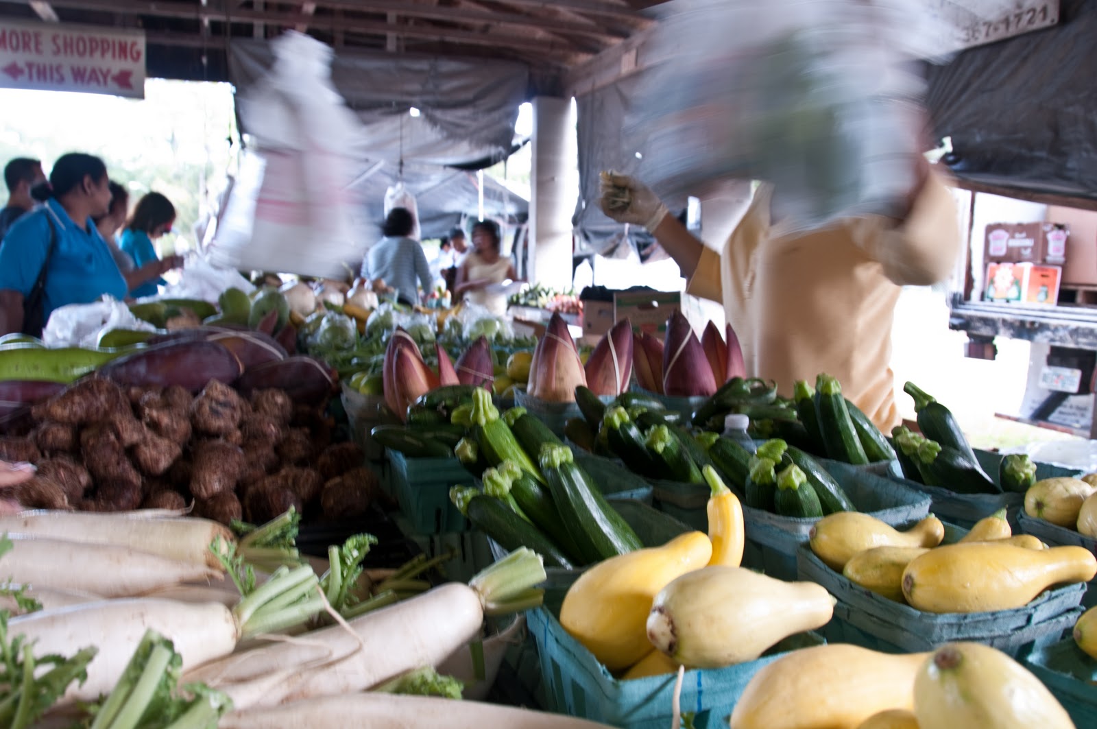 You Bought What From Who!? The Bargain House of Fleas Jacksonville, FL 10911