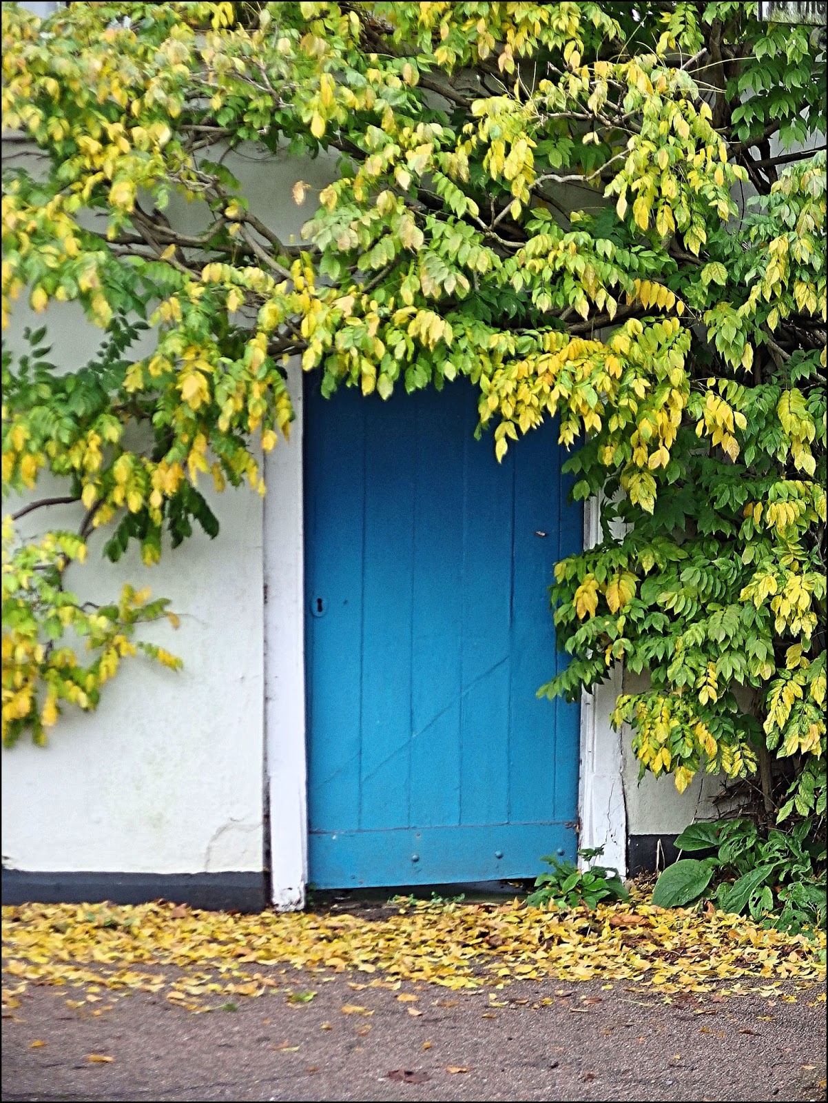 "By Stargoose And Hanglands" Much Hadham