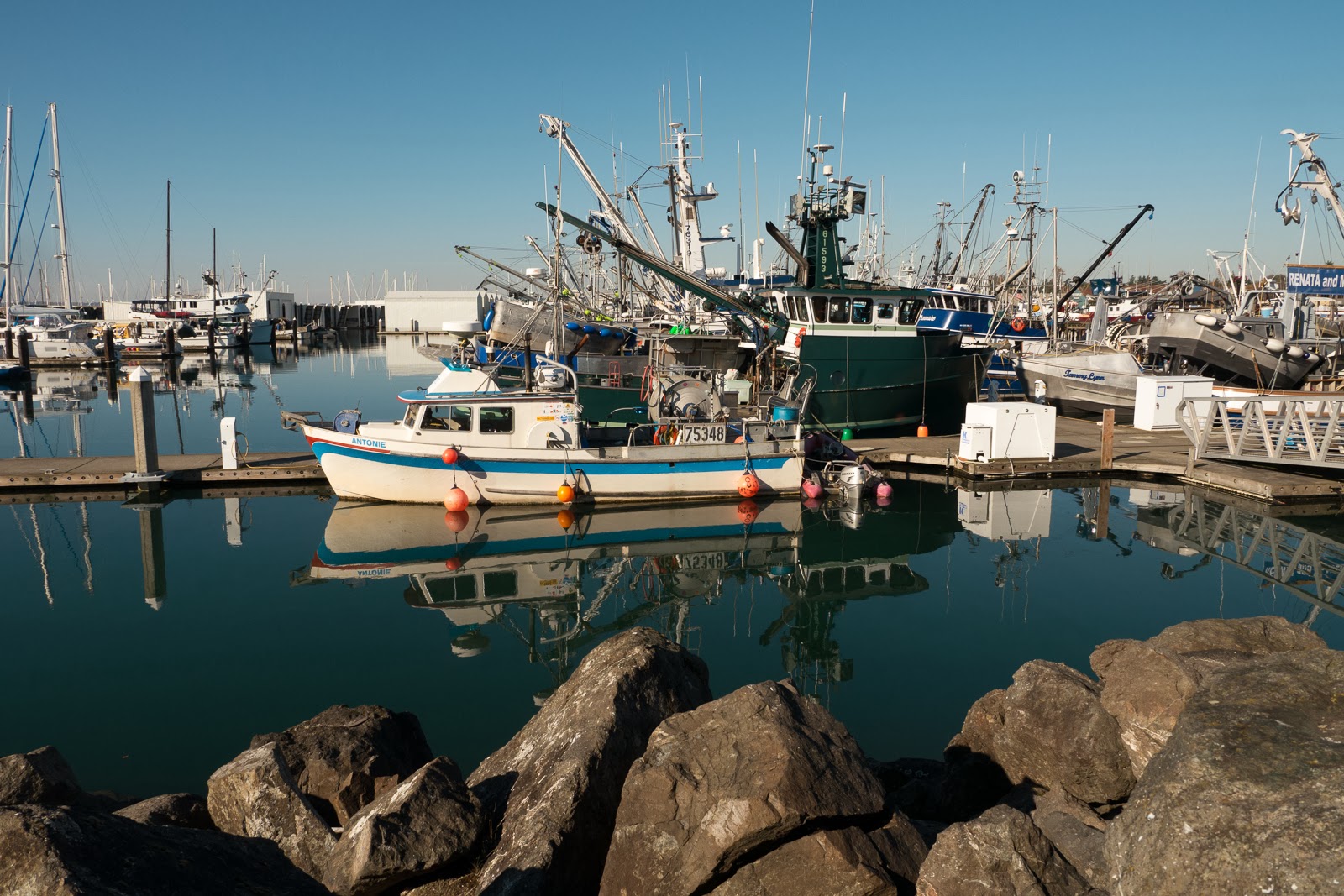 Chaikins of Bellingham Bellingham Harbor Working Boats