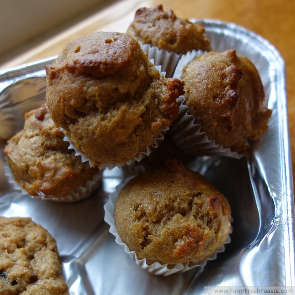 Farm Fresh Feasts Orange Date Olive Oil Muffins