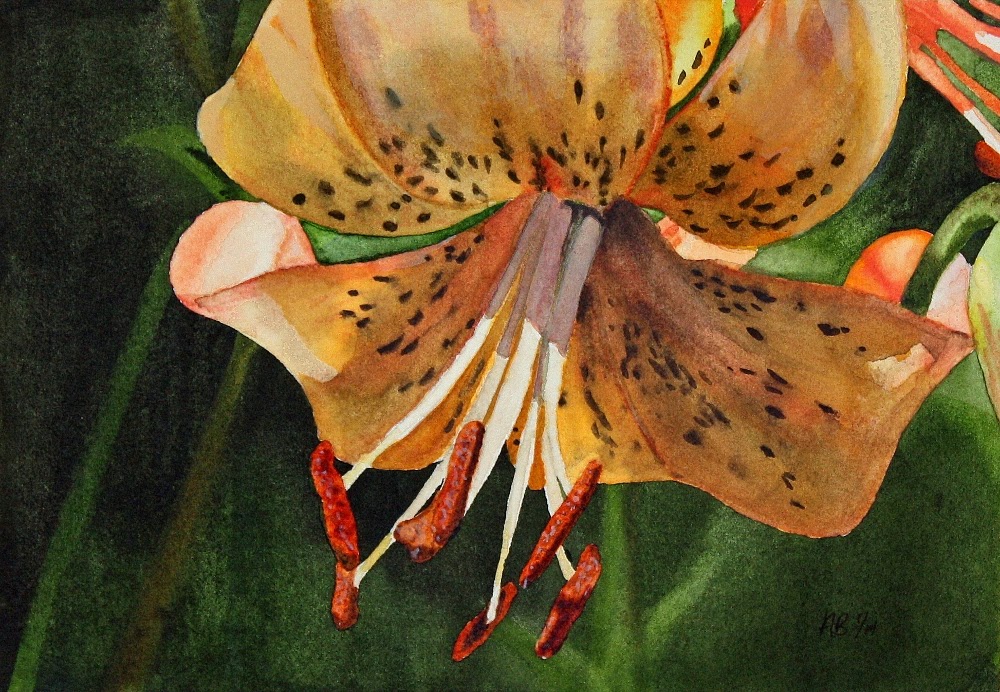 https://www.etsy.com/listing/176331364/may-lily-original-watercolor-painting?ref=shop_home_active_2