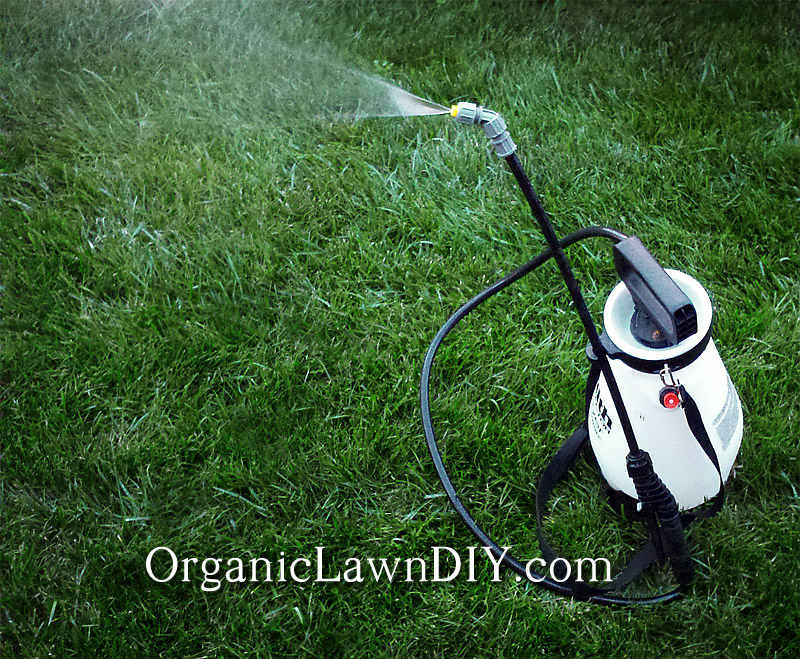 Watering Grass Seed With A Pump Spayer