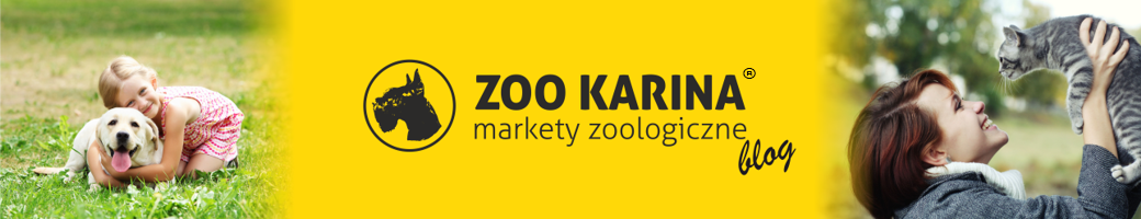 Blog ZooKarina