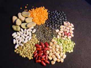 Nutrição: Substâncias Importantes