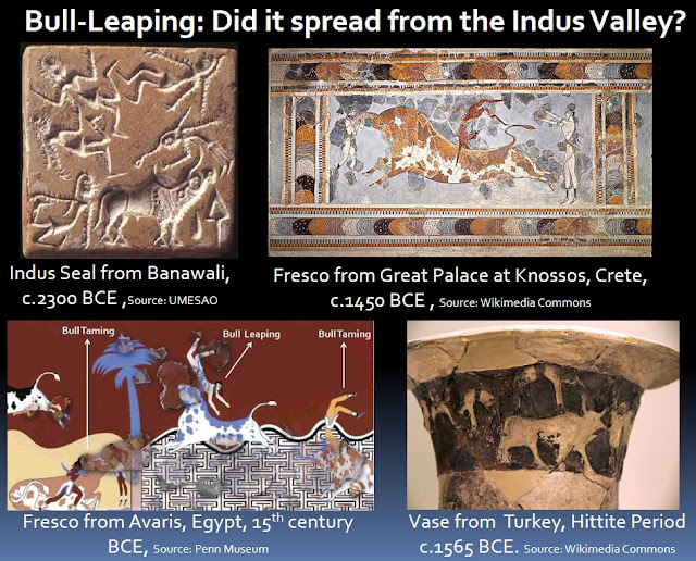 Bull leaping and bull taming sports in the ancient world which may have spread from the Indus Valley