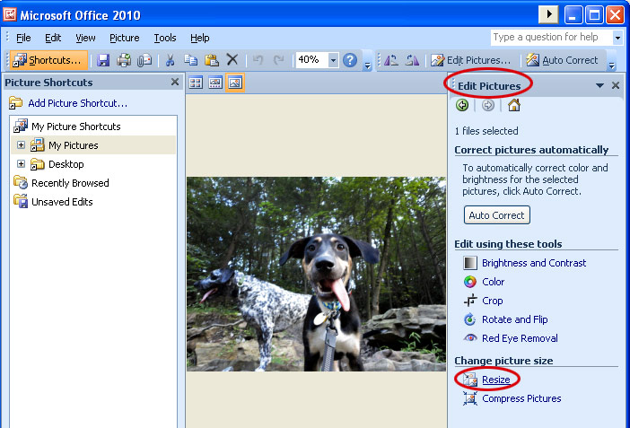 Майкрософт пикчер. Майкрософт пикчер менеджер. Microsoft редактор изображений. Редактор фото Microsoft picture Manager. Программа для редактирования изображений Microsoft Office picture Manager.