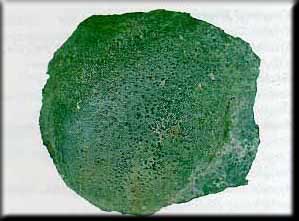 Rüyada Görmek, Rüyaların Anlamıları, Rüya Tabirleri: Arsenik