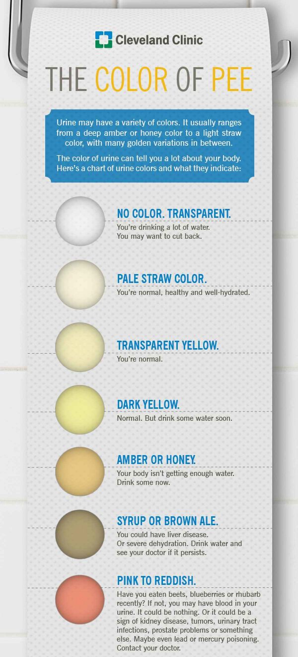 Warna Air Kencing Dengan Tahap Kesihatan Badan Yang Perlu Anda Tahu Abang Terlajak Laris Warna Air Kencing Dengan Tahap