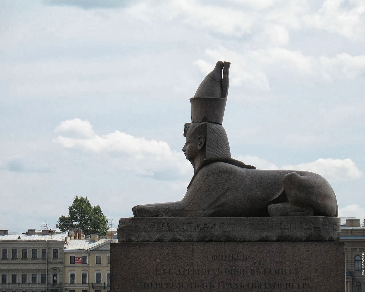 Египетский мост в санкт-петербурге статуи. Что мистического в сфинксах в санкт-петербурге. Канадский сфинкс пинк. Торт сфинкс. Персидский сфинкс статуя.