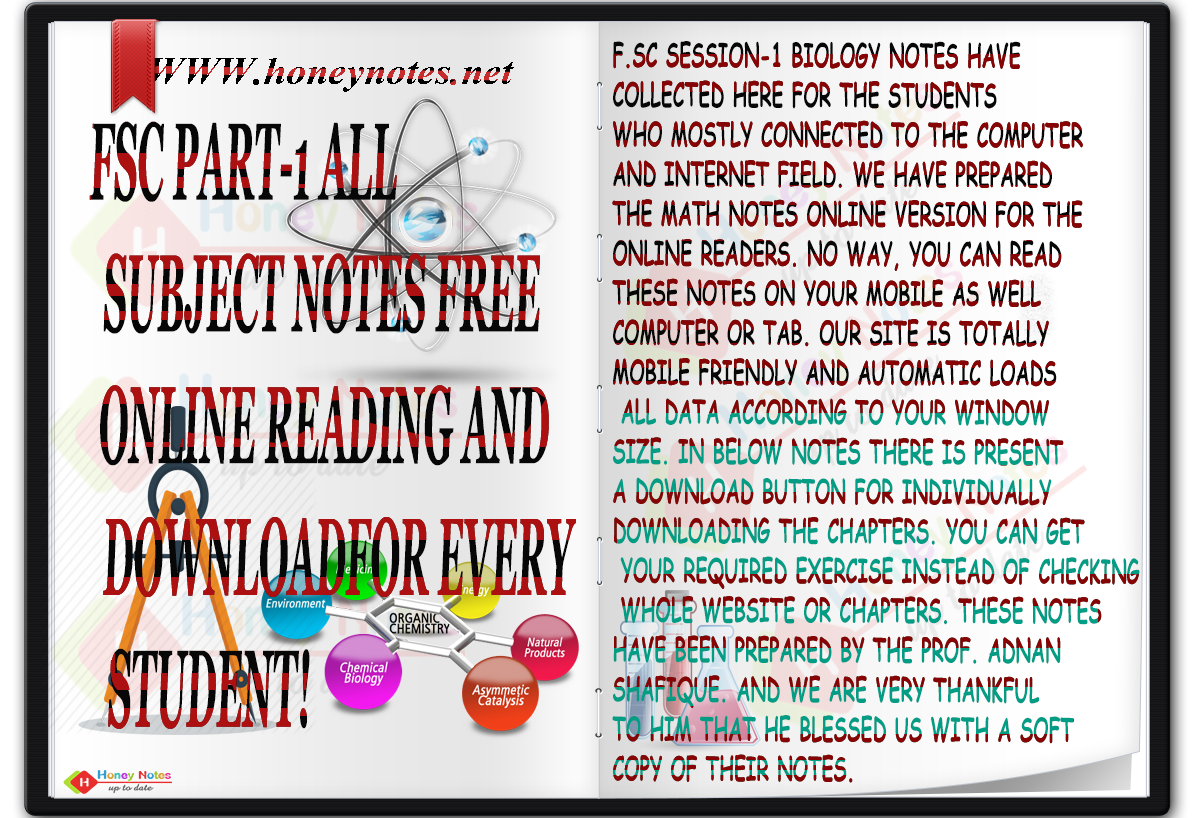 A road accident essay for class 6 picture