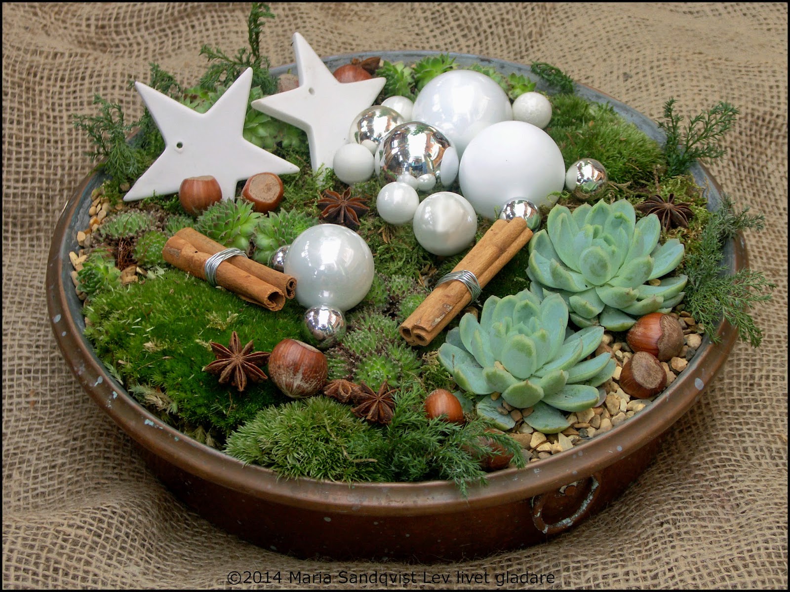 Lev livet gladare Pynta enkelt med julblommor, mossa och små ljusslingor