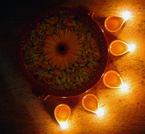 Dr Annie Flora Aesthetic Dermatologist Laser Hair Transplant Surgeon