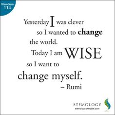 Smart перевести на русский. Be clever перевод на русский. Tim is seven. I've got a pet перевод. What is she like ответ на вопрос.