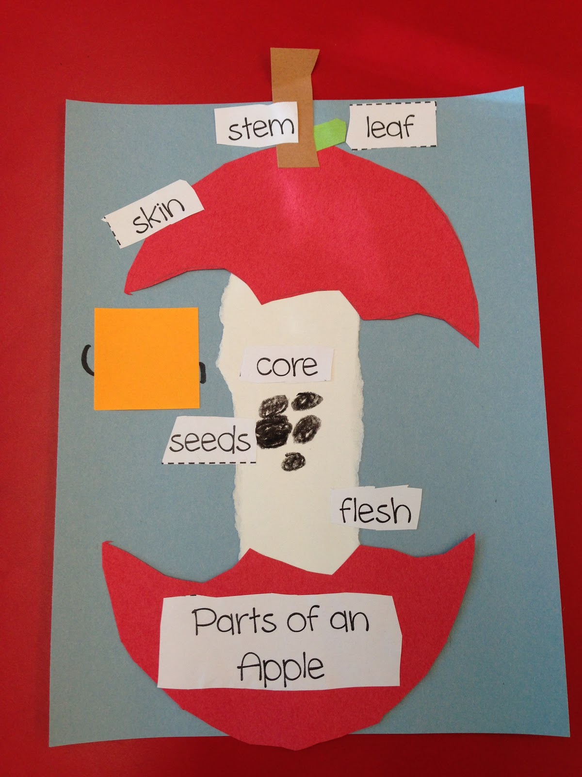 My First Grade Zoo: Apples, apples and more apples!