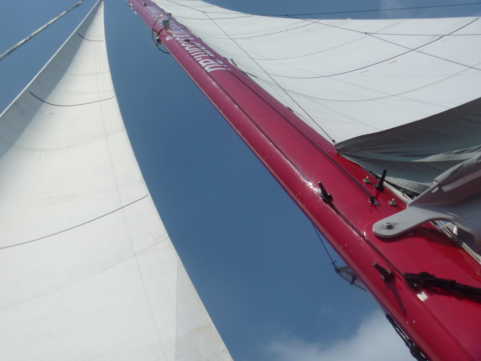 The Hungry Backpacker Hamilton Island Highlights