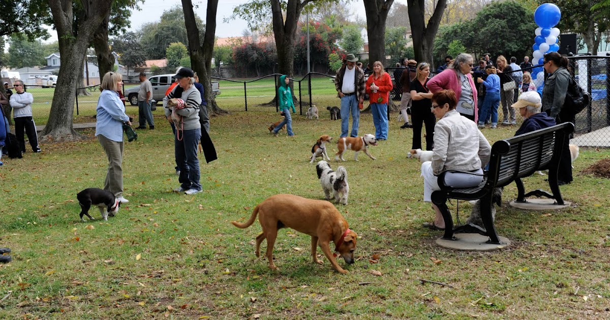 Desert Girl on Kuwait Are dogs allowed in parks in Kuwait?