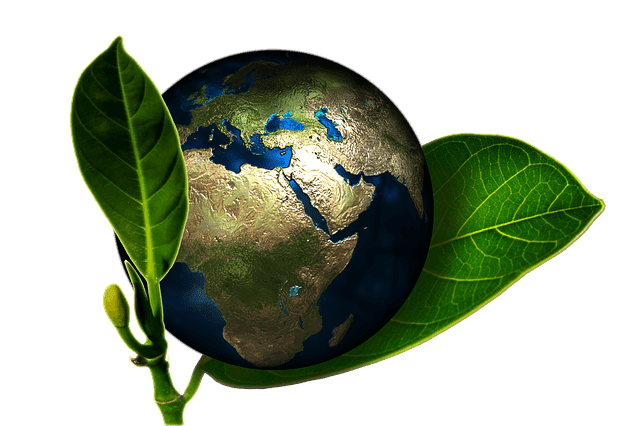 el mundo y la ecología el mundo y la ecología
