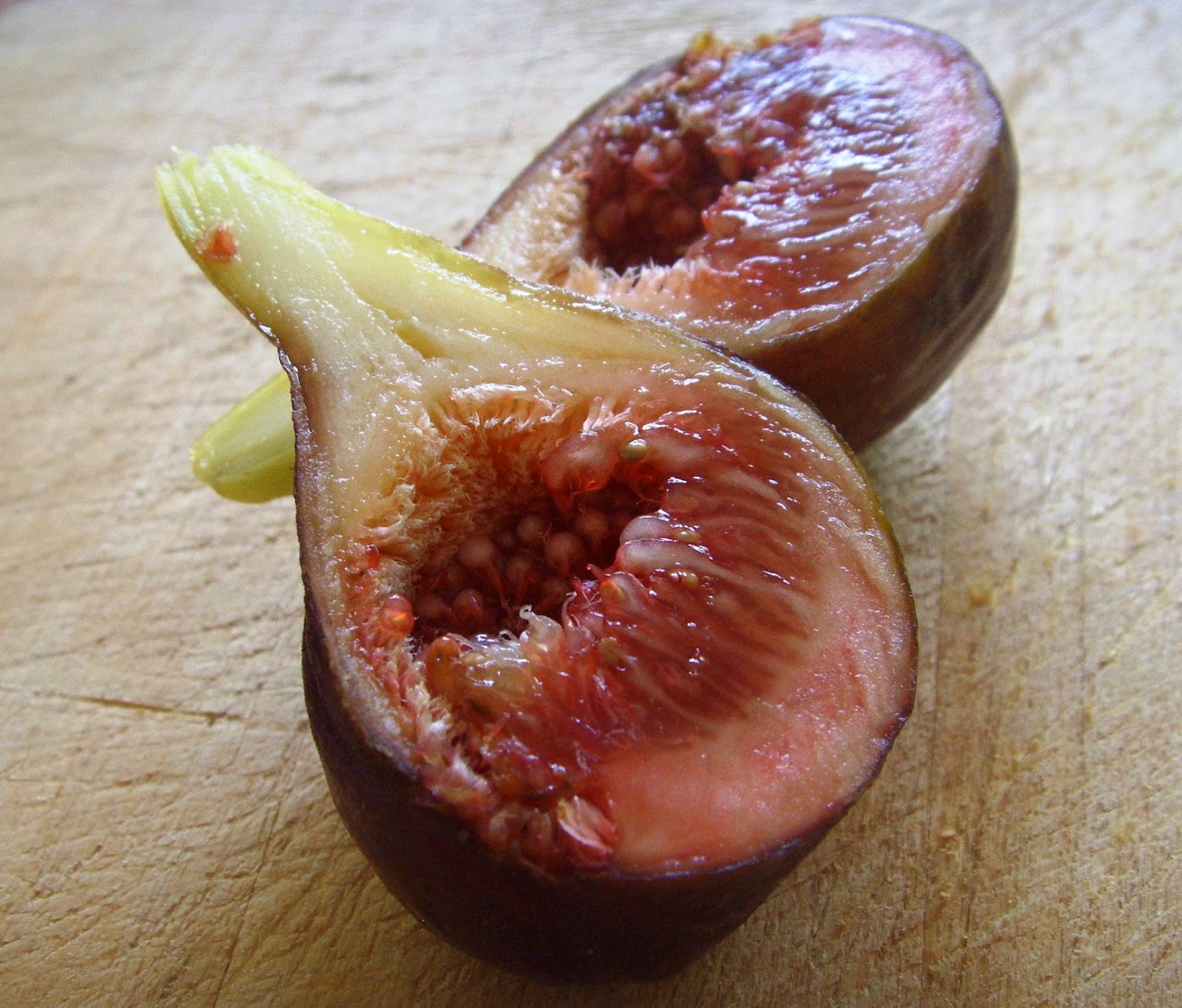 инжир в египте. после инжира. после инжира. после инжира. сорт инжира черный принц.