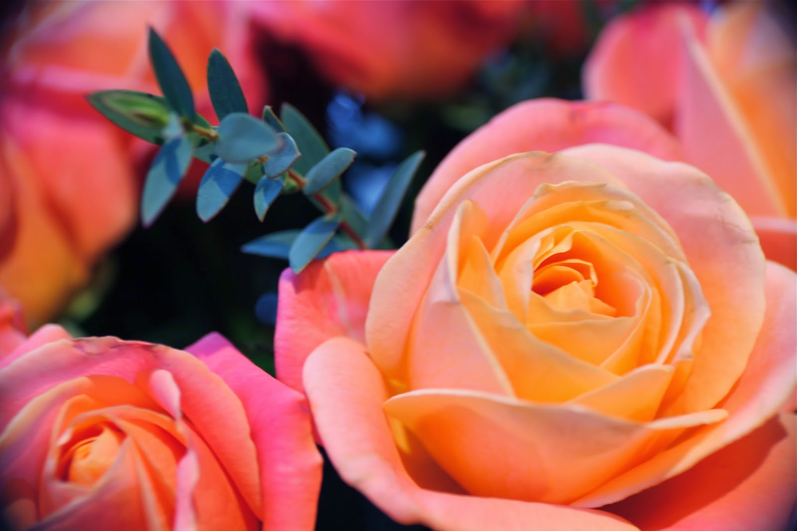 Mothers Day Flowers + Debenhams Flowers Discount.