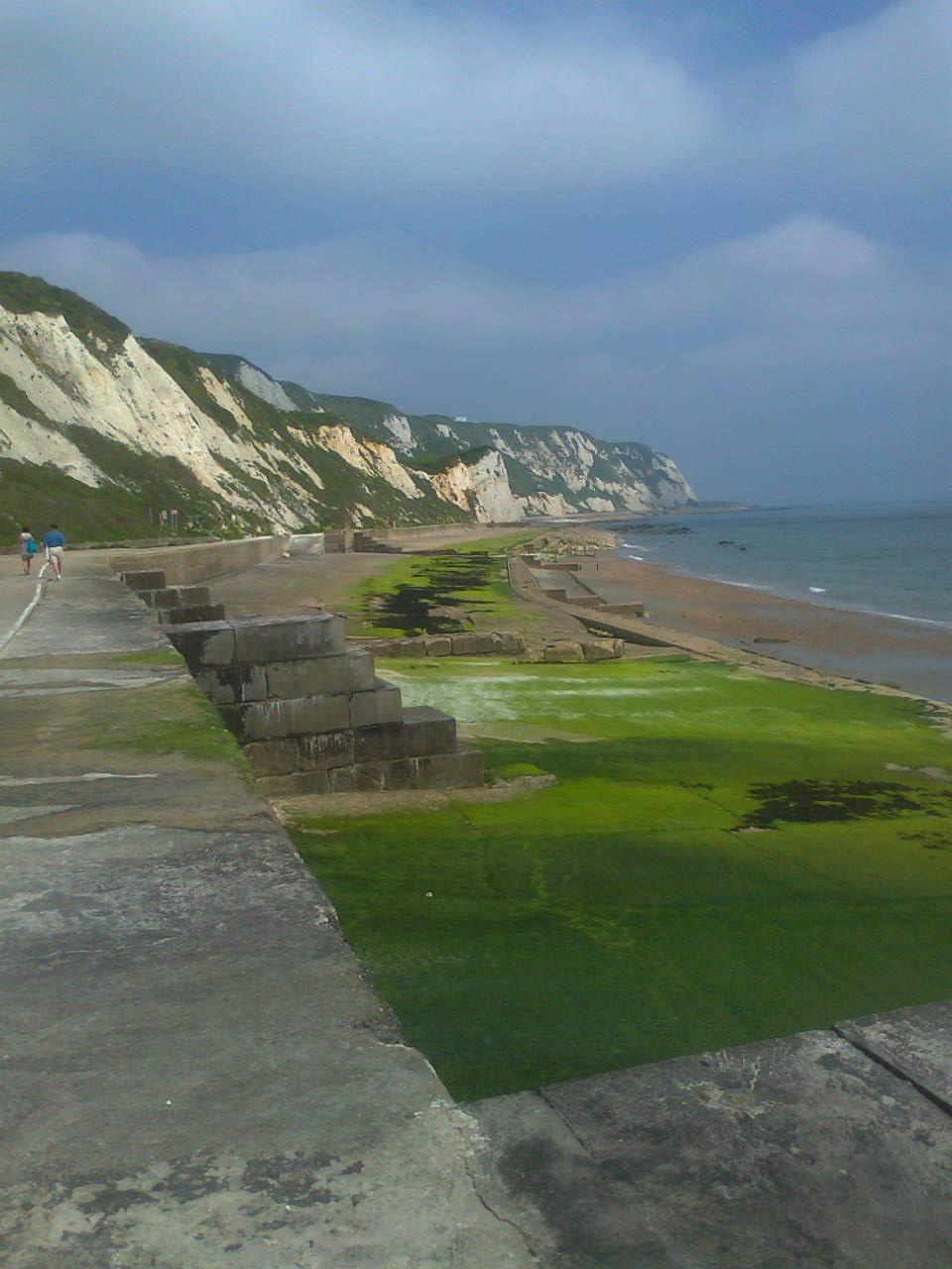 The Shrieking Violet Folkestone Warren sloe gin