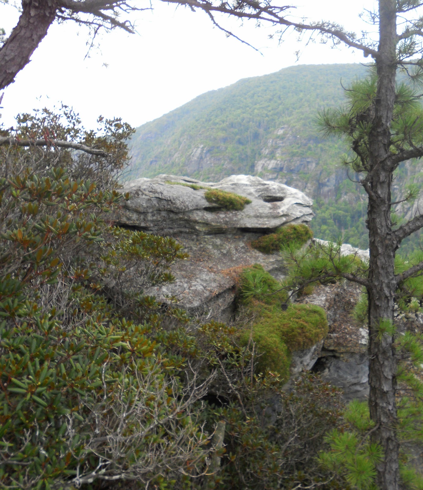 Hiking with a Fat Bald White Guy: Linville Gorge - Devils Cliff
