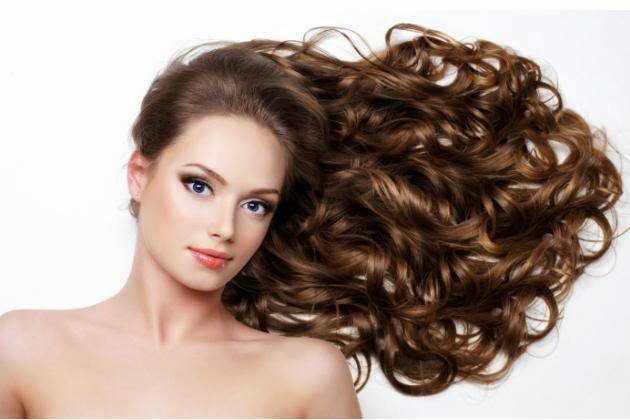 Os benefícios do Óleo de Abacate para os cabelos Os benefícios do Óleo de Abacate para os cabelos