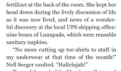 She kept her head down during the lively discussion of life as it was now lived, and news of a wonderful discovery at the local UPS shipping office: nine boxes of Lunapads, which were reusable sanitary napkins. “No more cutting up tee-shirts to stuff in my underwear at that time of the month!” Nell Seeger exulted. “Hallelujah!”