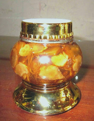 Khám phá tác dụng của Sâm Ngọc Linh – loài sâm tốt nhất thế giới Sâm Ngọc Linh tẩm mật ong