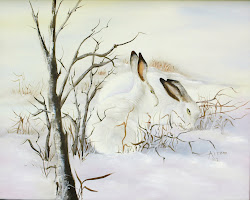 SNOW HARES