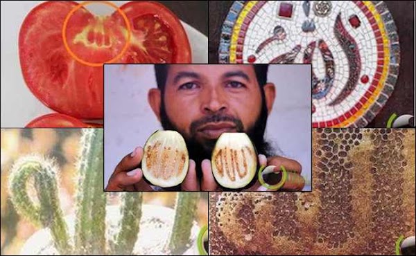 Kaligrafi Indah Dan Artinya : Gambar Kaligrafi Asmaul Husna Yang Indah | Kaligrafi Indah / Kaligrafi terbaru kaligari muhammad bergerak kaligrafi mewarnai kalgrafi muhammad 3d gambar kaligrafi muhammad indah gambar kaligrafi nabi muhammad saw orang yang paling mulia di muka bumi ini, beliau orang yang maksum istilah dari bahasa arab artinya tidak mempunyai dosa.