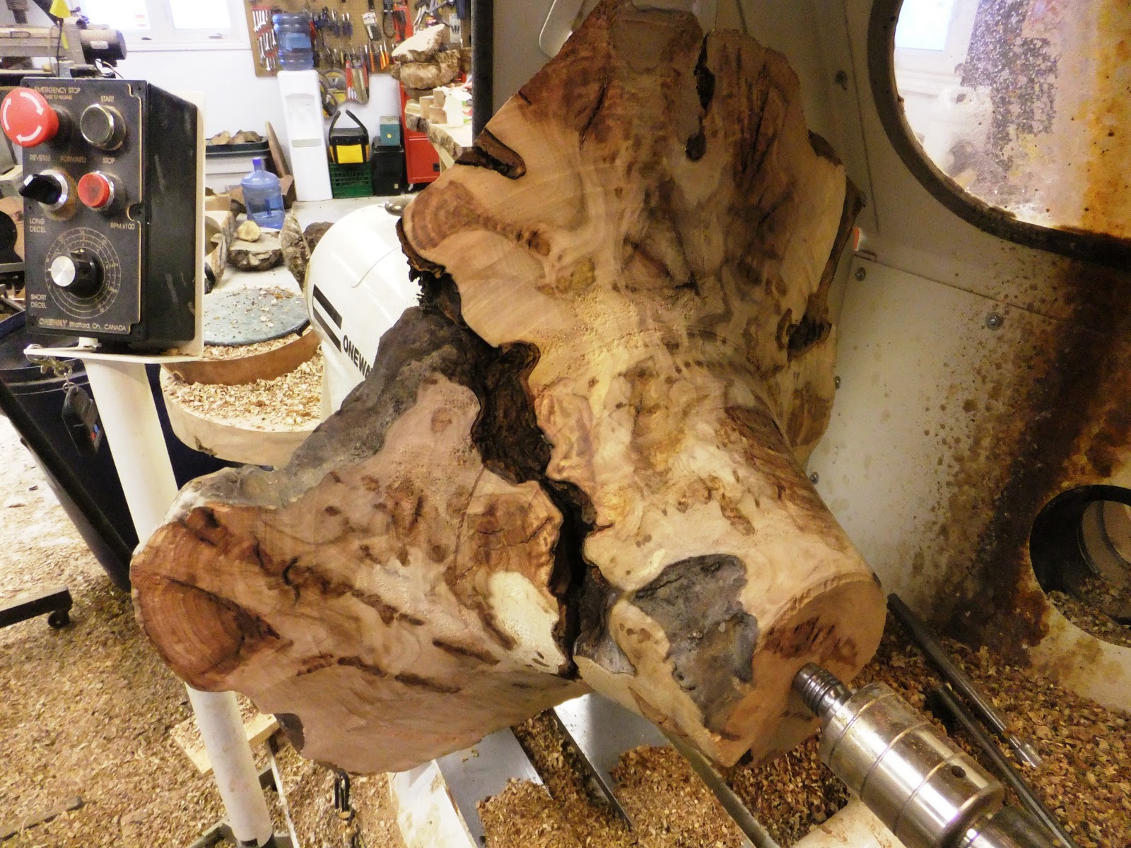 BRIAN MARKHAM LIMBERLOST WOODTURNING Maple Burl Bowl