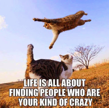 Find your kind of crazy!