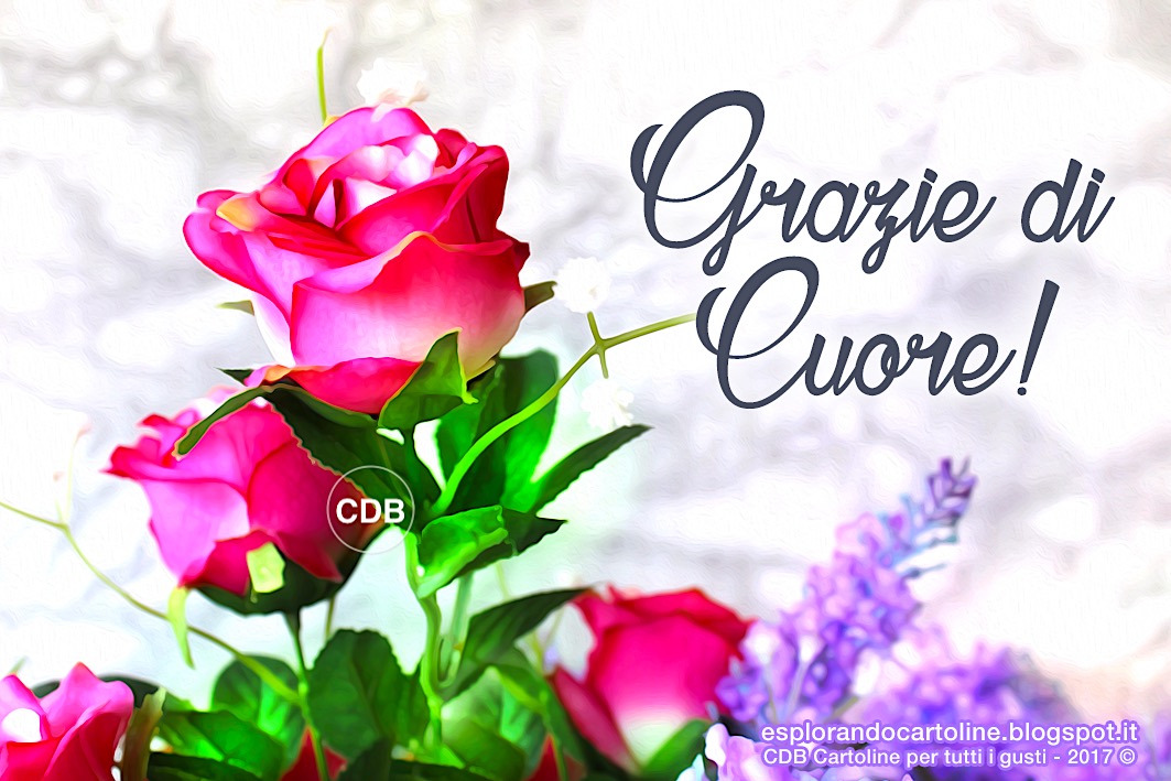Grazie Di Cuore Per Gli Auguri Esplorando Cartoline CDB: Cartolina 🌹🌷🌹 GRAZIE di CUORE! Con Immagine