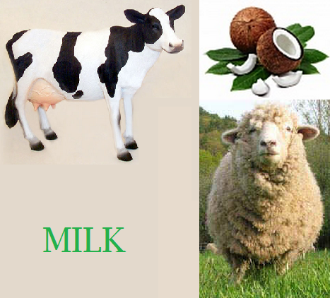 Improve Your General Knowledge in Leisure Time!: Commonym