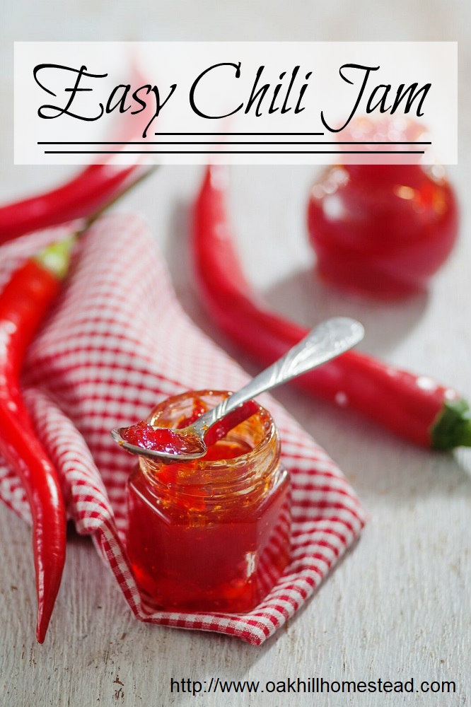 Easy Chili Jam Oak Hill Homestead