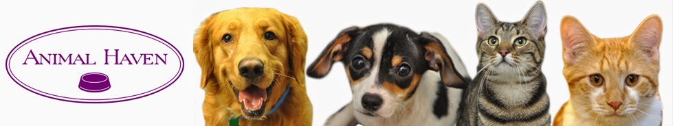 Buy Nail Polish, Help Animals