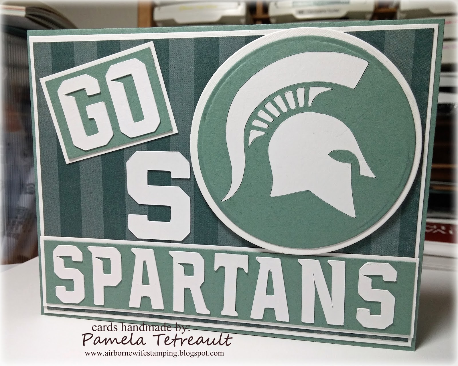 Michigan State Decorations Michigan State Spartans Wool Banner - 8x32 Inch  Embroidered Go Green Go White Vertical Hanging Flag Michigan State  University Flag 3x5, image size:1600x1277
