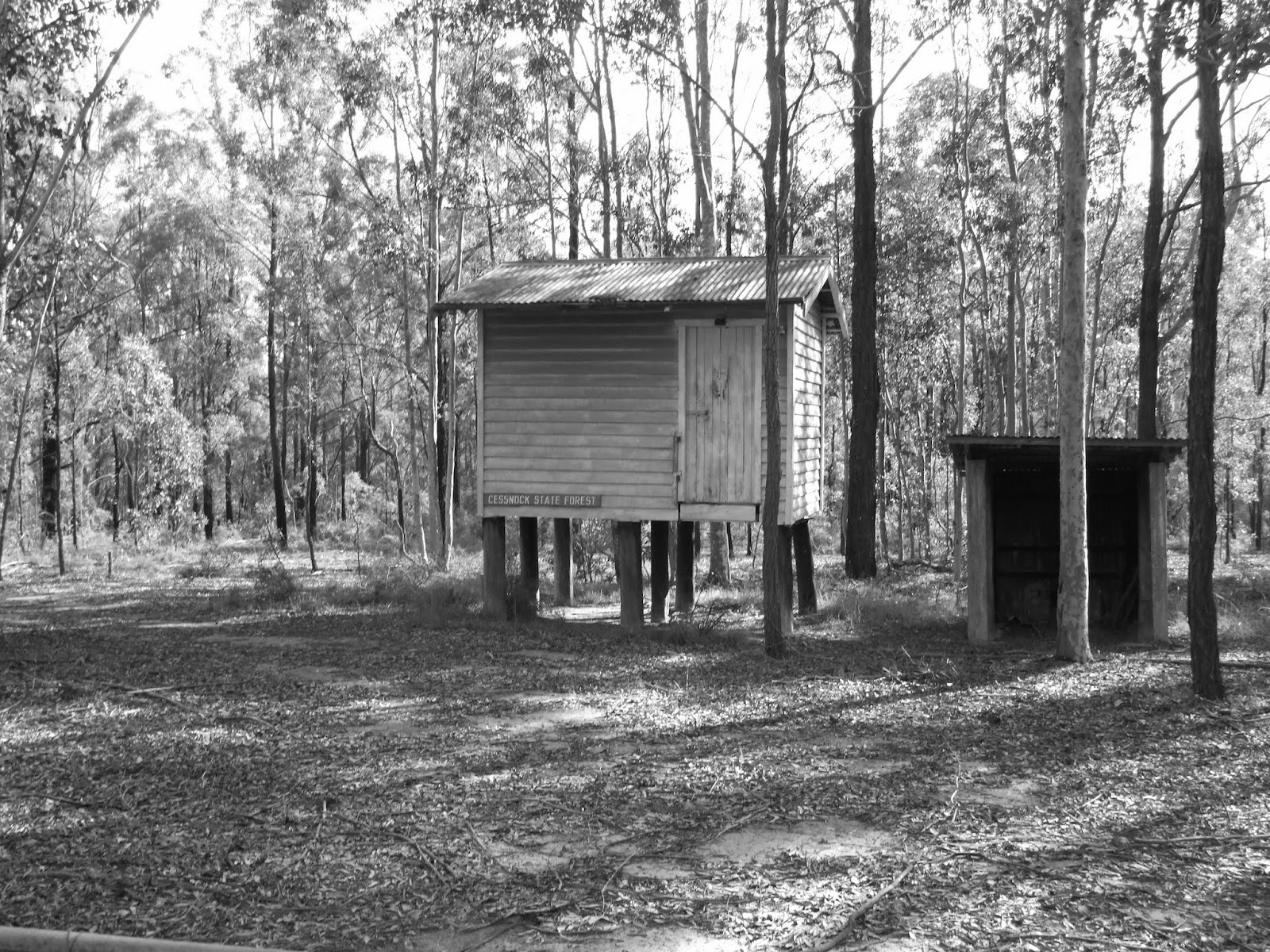 its just my life Tomalpin and Werakata National Park