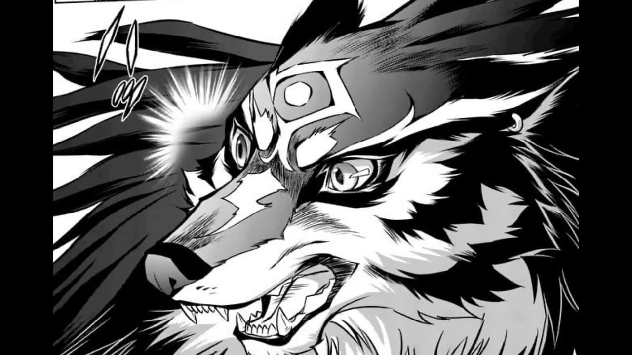L Antre Des Pandawa The Legend Of Zelda Twilight Princess Manga