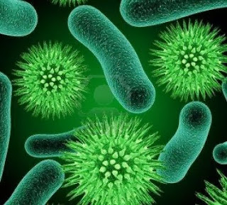 Apa Obat Untuk Penyakit Sipilis Atau Raja Singa Apa Obat Untuk Penyakit Sipilis Atau Raja Singa