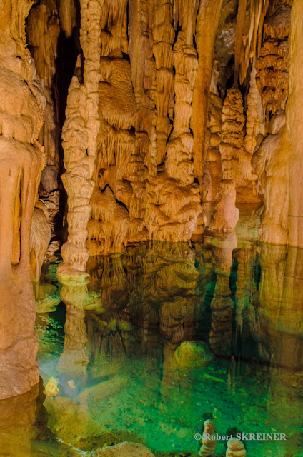 Robert SKREINER - Blog