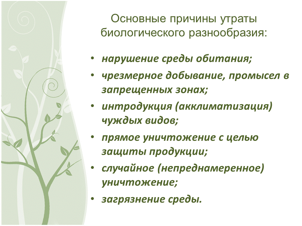 методы и приемы по экологическому воспитанию в доу. формы работы экологического воспитания. метод экологического образования и воспитания. формы обучения экологии. экскурсия форма обучения.