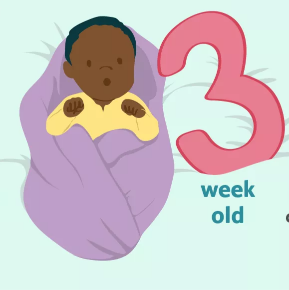 تطور الرضيع في أسابيع الأسبوع الثالث