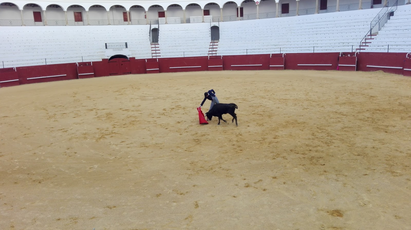 Diego alejandro opciones binarias