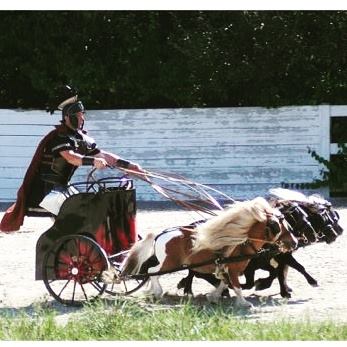 what was the largest hippodrome for watching chariot races what was the largest hippodrome for watching chariot races
