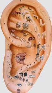 Natürlich Gesund: Ohrakupunktur bei Schmerzen, Allergien und Angstzuständen