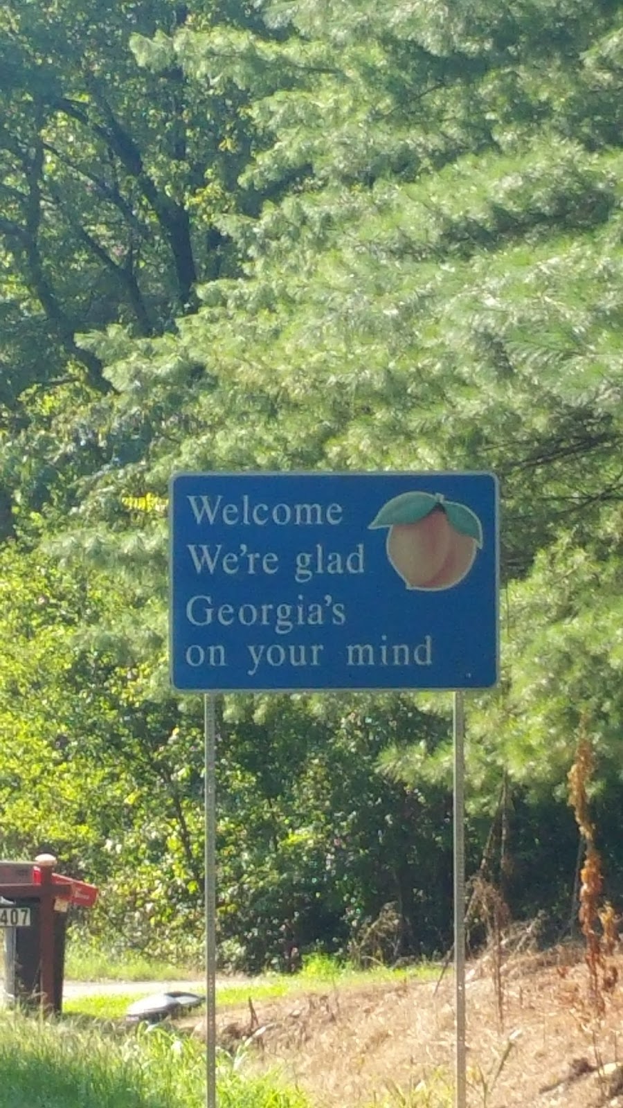 Kathy and Roger's Excellent Adventure 134 Pardon me, Roy. Is this the