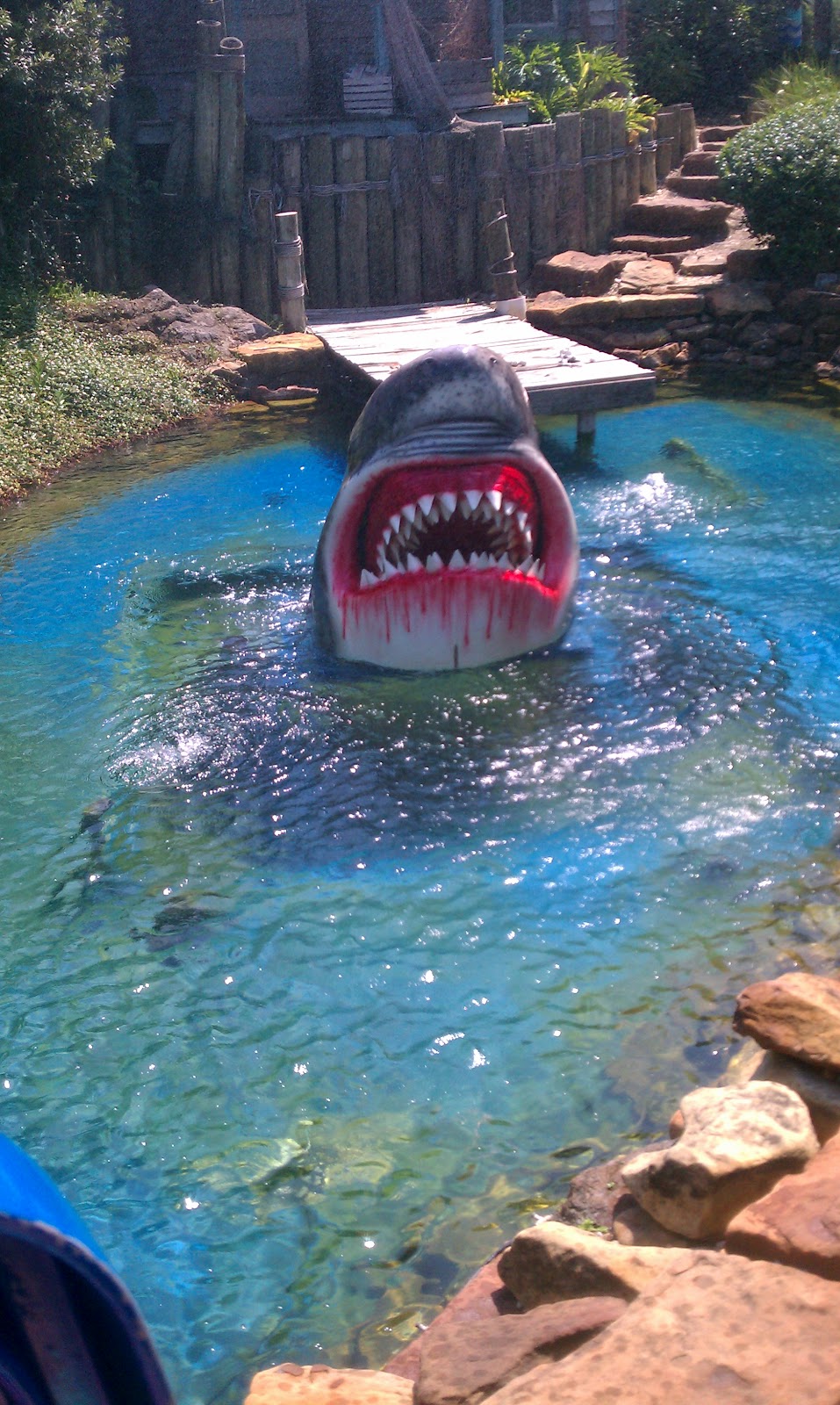 The Dowells Houston Aquarium