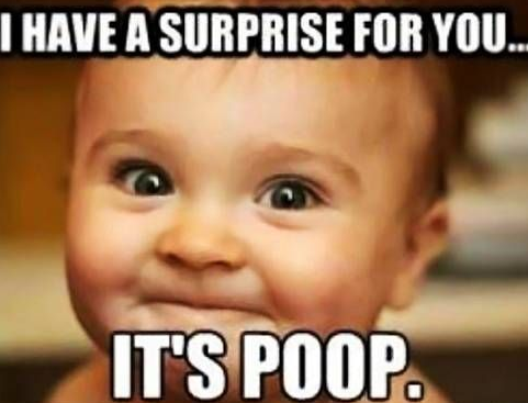 Funny Whatsapp Status Funny Whatsapp Status