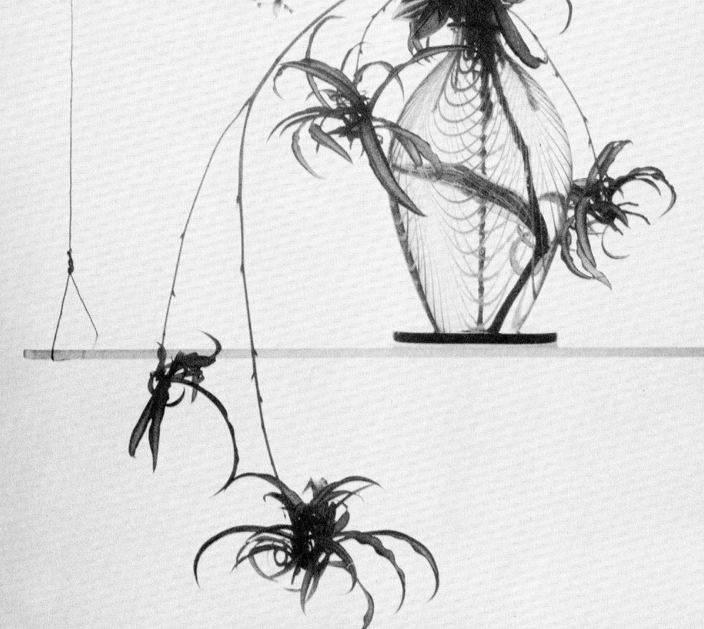 stopping off place New Horizons in Flower Arrangement